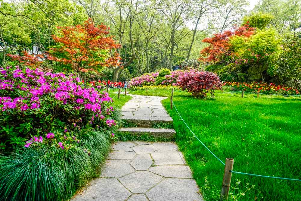 Landscaping Designs