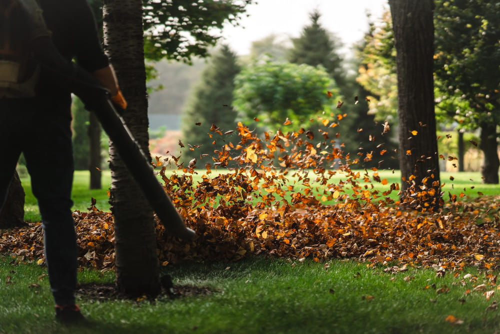 Lawn Care 1