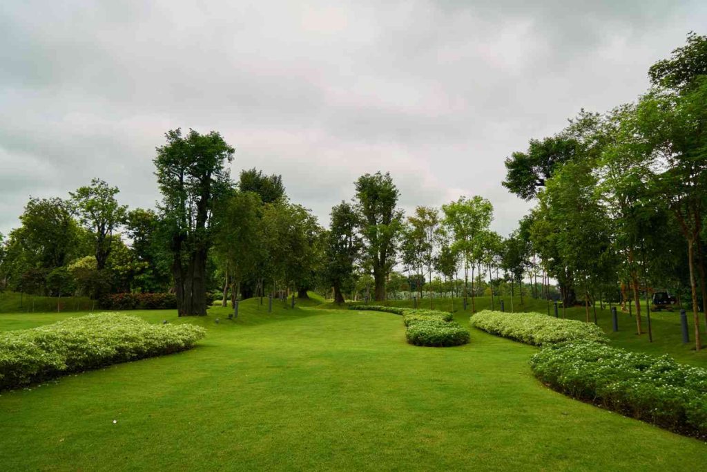 Lawn Care 2