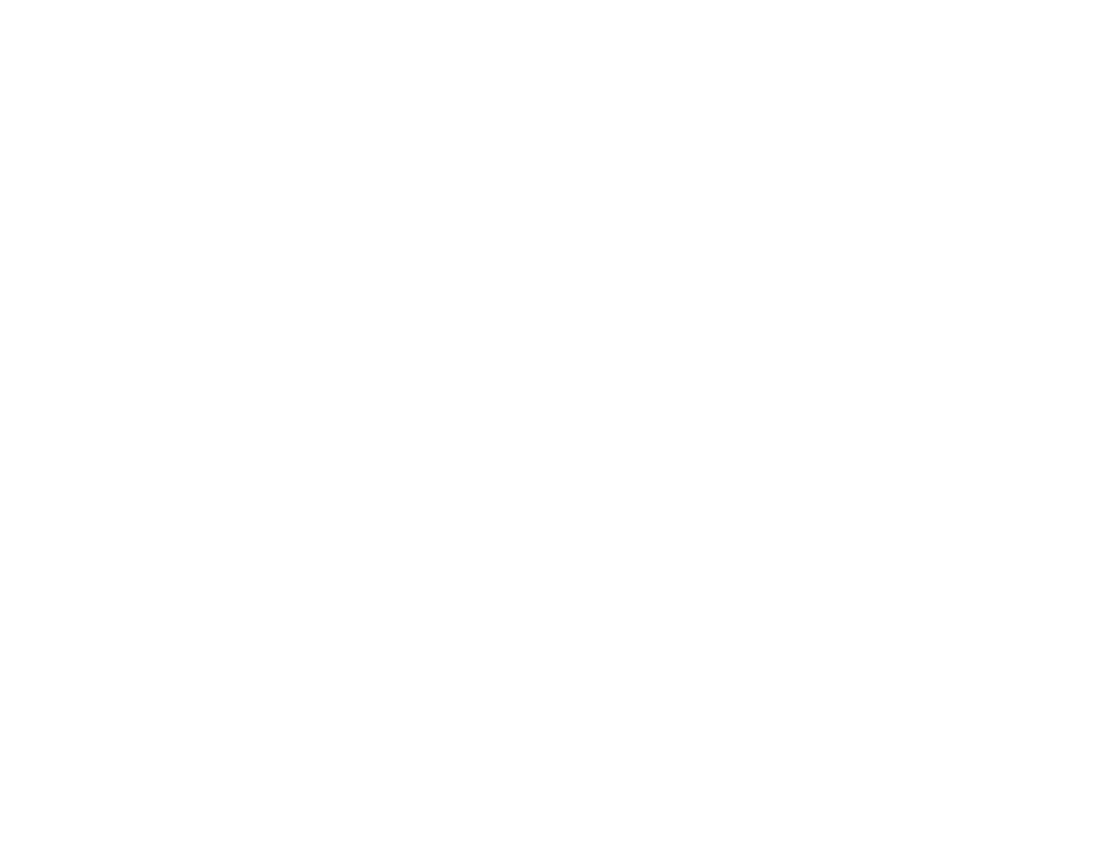 Preferred Maintenance Logo white