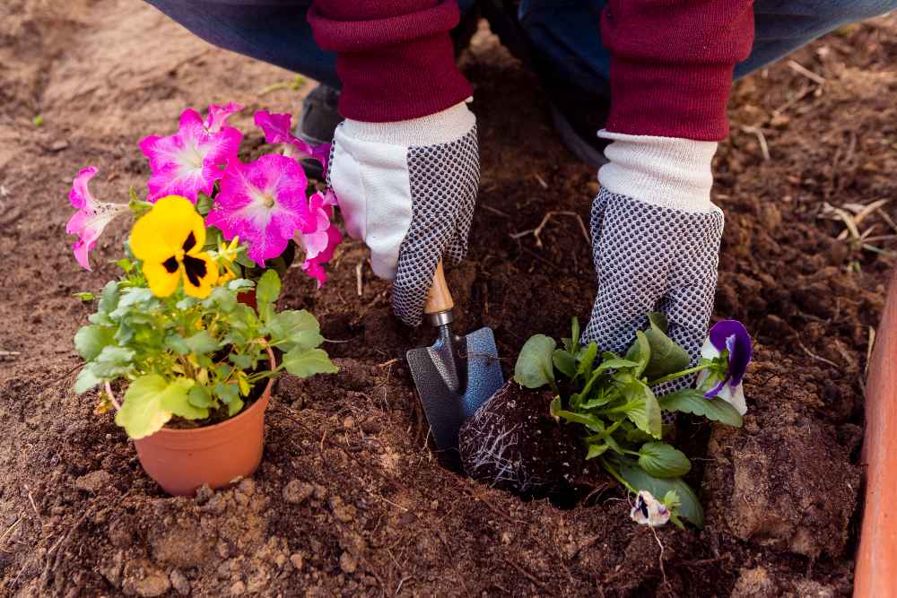 Seasonal Plantings Service